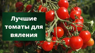 ТОМАТНЫЕ ДЕЛИКАТЕСЫ | Обзор коктейльных томатов для заготовок
