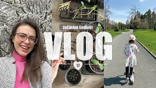 Začínám šedivět? 😀 | #17/2023 | MaruškaVEG