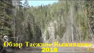 Таежное Выживание 2018 Тайга Рыбалка Охота Таежный Лес Поход Сибирь Медведь, Тайга,  Прямой эфир