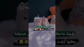 حالات واتساب 💞🦄غرور بنات كبرياء انثى ☃️🎀 ستوريات انستا فيديوهات قصيرة 💅🫀 بدون حقوق