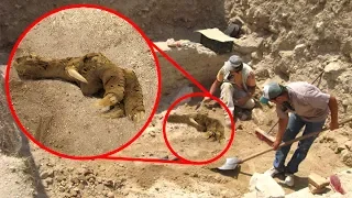 9 Most BIZARRE Archaeological Discoveries Ever Made!