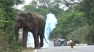 Deadly wild elephant attacks a van.
