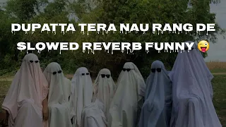 Dupatta Tera Nau Rang De #funny #song (slowed reverb)
