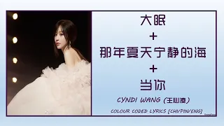 Cyndi Wang(王心凌) — 大眠+那年夏天宁静的海+当你 (Solo Mashup) Lyrics [Chinese/Pinyin/English]