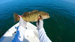 Sea Trout, Snapper & Grouper. Lower Keys, Florida