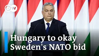 Orban says Hungarian parliament will ratify Sweden's NATO bid | DW News