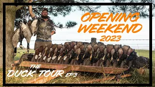 New Zealand Duck Hunting Opening Weekend 2023 - The Duck Tour Part 3