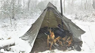 4 Days WINTER CAMPING in Blizzard With My Dog, Survival, Off Grid, Nature Movie, Snowstorm Bushcraft