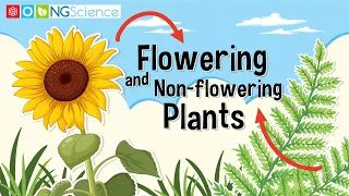 Flowering and Non-flowering Plants