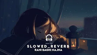 Rani Baghi Najna 💔 (s l o w e d + r e v e r b)