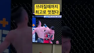 정찬성 할로웨이전 마지막 펀치