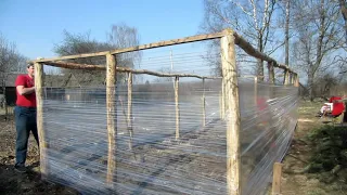 A $ 20 budget greenhouse with your own hands from improvised means.