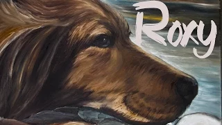 "ROXY" μια ταινία για την παγκόσμια ημέρα αδέσποτων ζώων