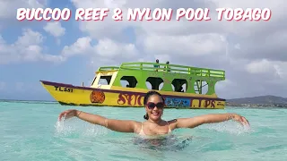 Tour of the Buccoo Reef and Nylon Pool Tobago | Trinidad Youtuber