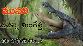 what happens if crocodile swallow any humanbody|how human body