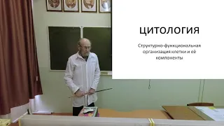 Клетка и неклеточные структуры. Цитоплазма