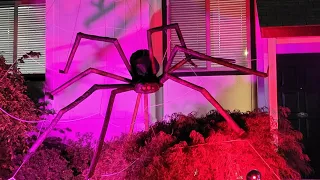 Spooktacular DIY Spider: Adding Halloween Elegance to Your Decor!