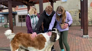 Elsie and Brody play date