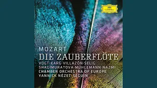 Mozart: Die Zauberflöte, K. 620 / Act 2 - "Alles fühlt der Liebe Freuden"