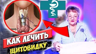 Как лечить щитовидку народными средствами