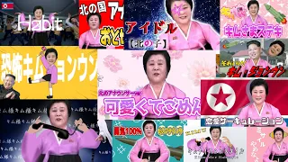 【北朝鮮】北のアナウンサーの歌ってみた動画をまとめてみたwww【声真似】