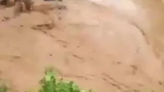 Flood in Karachi.  Pakistan