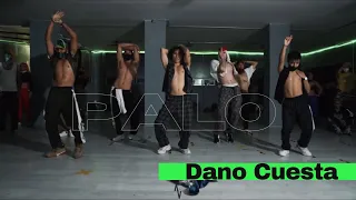 PALO - COREOGRAFIA POR DANO CUESTA