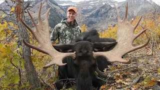 Two Shiras Moose Hunts - MossBack