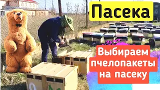 НУ НАКОНЕЦ ТО !!! Покупаем Нормальные Пчелопакеты Для Нашей Пасеки !!! Карпатская Пчела!