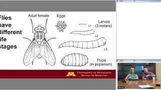 Equine Fly Control Webinar