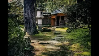 Японский сад Родзи как элемент чайной церемонии. Как делают сад родзи