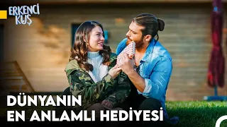 Sanem'in Aşkı Bulma Yolculuğu #129 - Erkenci Kuş