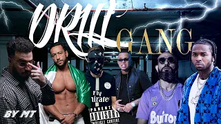 Ali Ssamid ft. Lacrim & Lferda & Pop Smoke & Moro & Luciano - DRILL GANG ( By Mt )