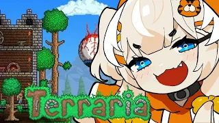 【Terraria】 Another Healing Game...?!!
