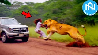 When Animals Go On A Rampage! Interesting Animal Moments CAUGHT ON CAMERA! #24