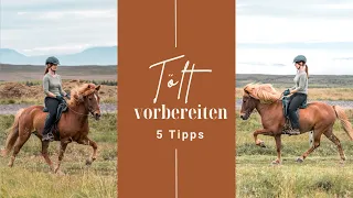 Tölt vorbereiten - 5 Tipps zum korrekten Antölten