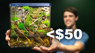 Nano Eco Cube (Cheap & Easy DIY Paludarium)