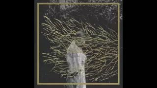 Forest Swords - Ljoss