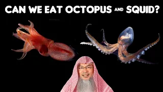 Can we eat Seafood such as Octopus,  Squid AND all seafood?