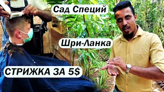 СТРИЖКА ЗА 5$. Сад Специй. Шри-Ланка квадрокоптер. Река Калу Ганга.