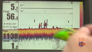 I See GRASS for BASS On My Fish Finder Sonar Electronics