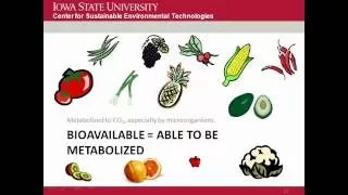 Biochar Characterization and Engineering