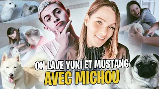 On lave nos chiens avec Michou