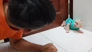 Baby Monkey SUGAR Sudden Afraid and Runs Away from Uncle