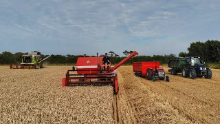 harvest 21!vintage massey 187 +claas 208