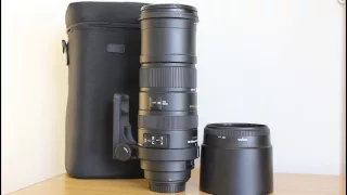 Review of the Sigma 150-500 DG OS HSM f5-6.3