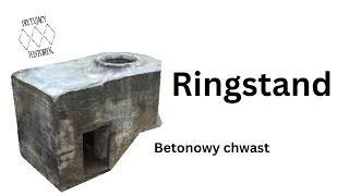 Ringstand - betonowy chwast