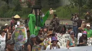 Dozens of people march through streets of Quito demanding recreational marijuana legalization