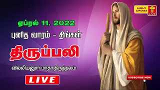 11 April 2022 Tamil Mass | Villianur Lourdes Shrine | Holy Cross Tv | Daily Tv Mass | Today Tv Mass