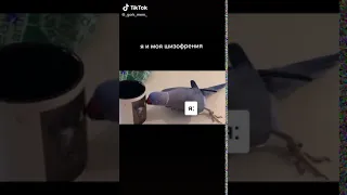 №17 ЛУЧШИЙ ТИК ТОК 2020 ГОДА | ТРЕНДЫ TIK TOK | ТИК ТОК 2020 |